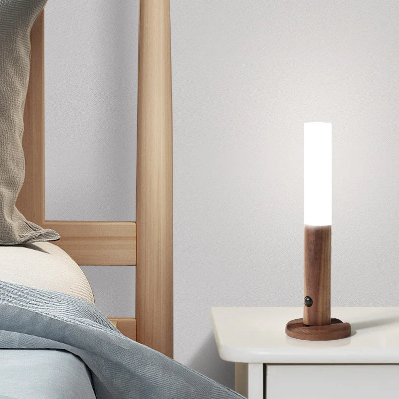 Professional LED Desk Lamp