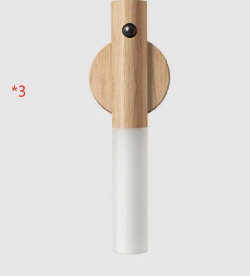 Professional LED Desk Lamp